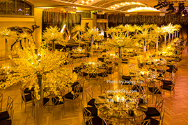 We are simply the best in the special event industry.